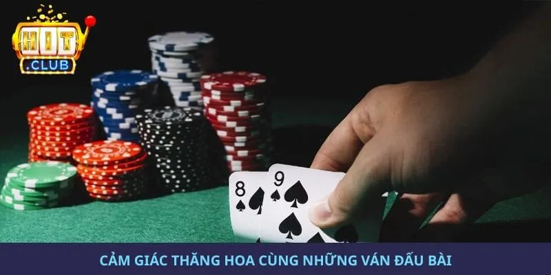 Cảm giác thăng hoa cùng những ván đấu bài