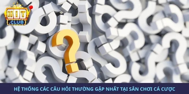 Hệ thống các câu hỏi thường gặp nhất tại sân chơi cá cược