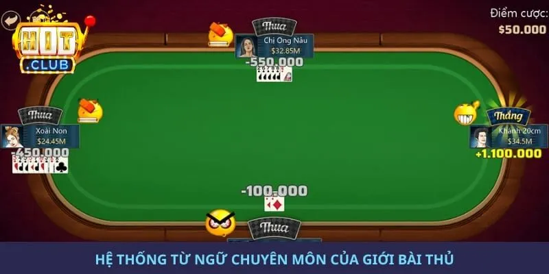 Hệ thống từ ngữ chuyên môn của giới bài thủ